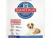 hill's sp canine mature 7+ medium chicken