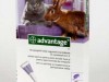 advantage 80 pisica/iepure > 4 kg