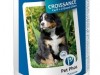 pet phos special grand chien