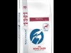 Royal Canin Hepatic Dog 