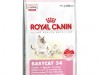 royal canin babycat 34 