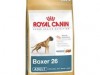royal canin boxer adult