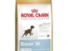 royal canin boxer junior