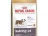 royal canin bulldog adult