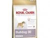 royal canin bulldog junior 3 kg