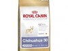 royal canin chihuahua junior