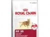 royal canin fit 32