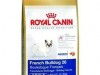royal canin french bulldog adult