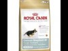 royal canin german shepherd junior