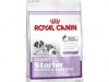 royal canin giant starter mother&babydog