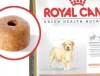 royal canin labrador junior