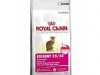 Royal Canin Exigent pisica