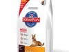 hill's sp canine adult light chicken